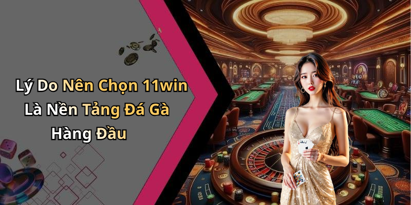 Lý Do Nên Chọn 11win Là Nền Tảng Đá Gà Hàng Đầu